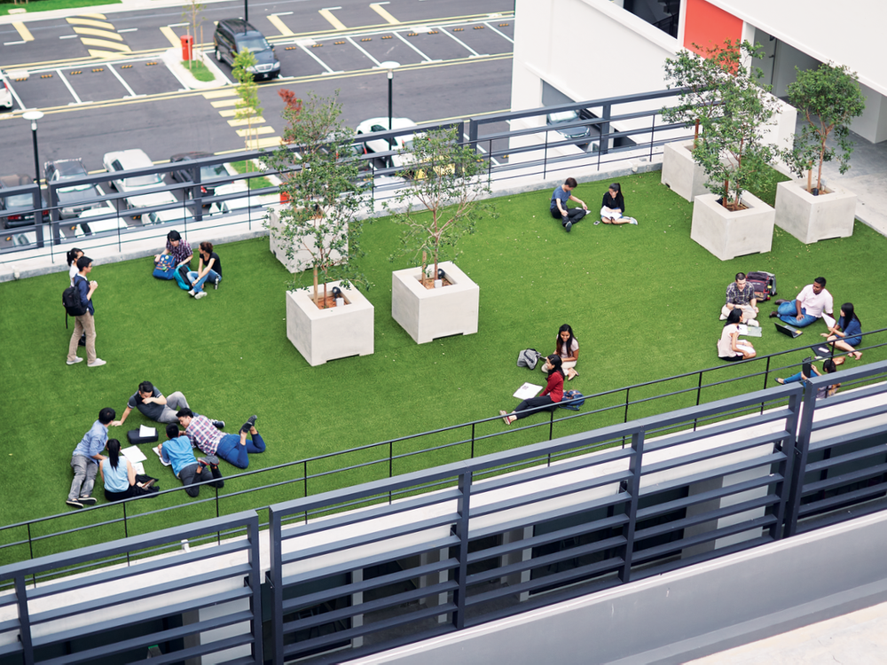 What Is Australian Year 12 Qualification What Is Australian Year 12 Qualification